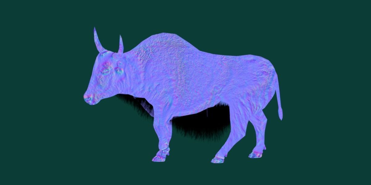 Domestic Yak Animals Low-poly 3D model_14