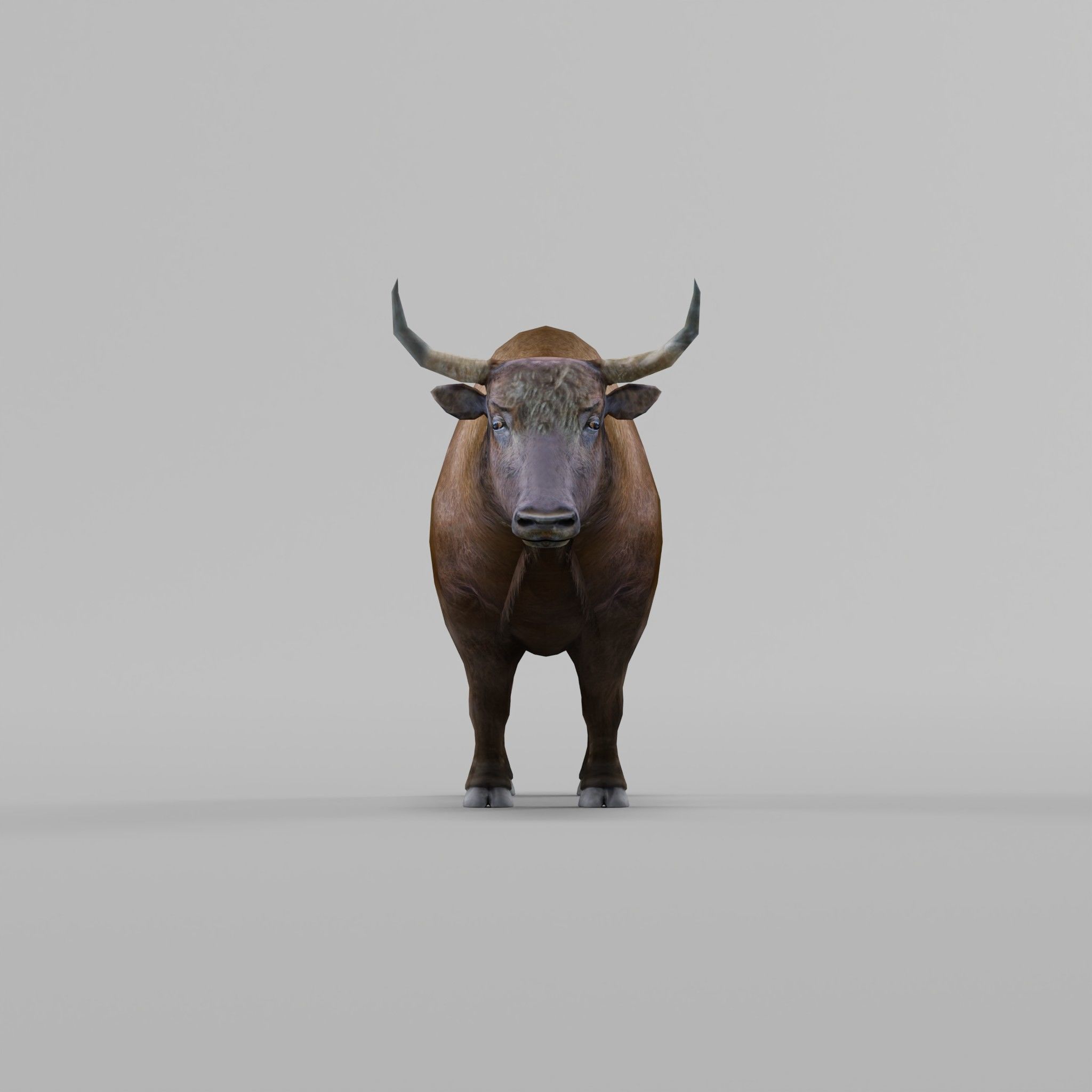 Domestic Yak Animals Low-poly 3D model_18