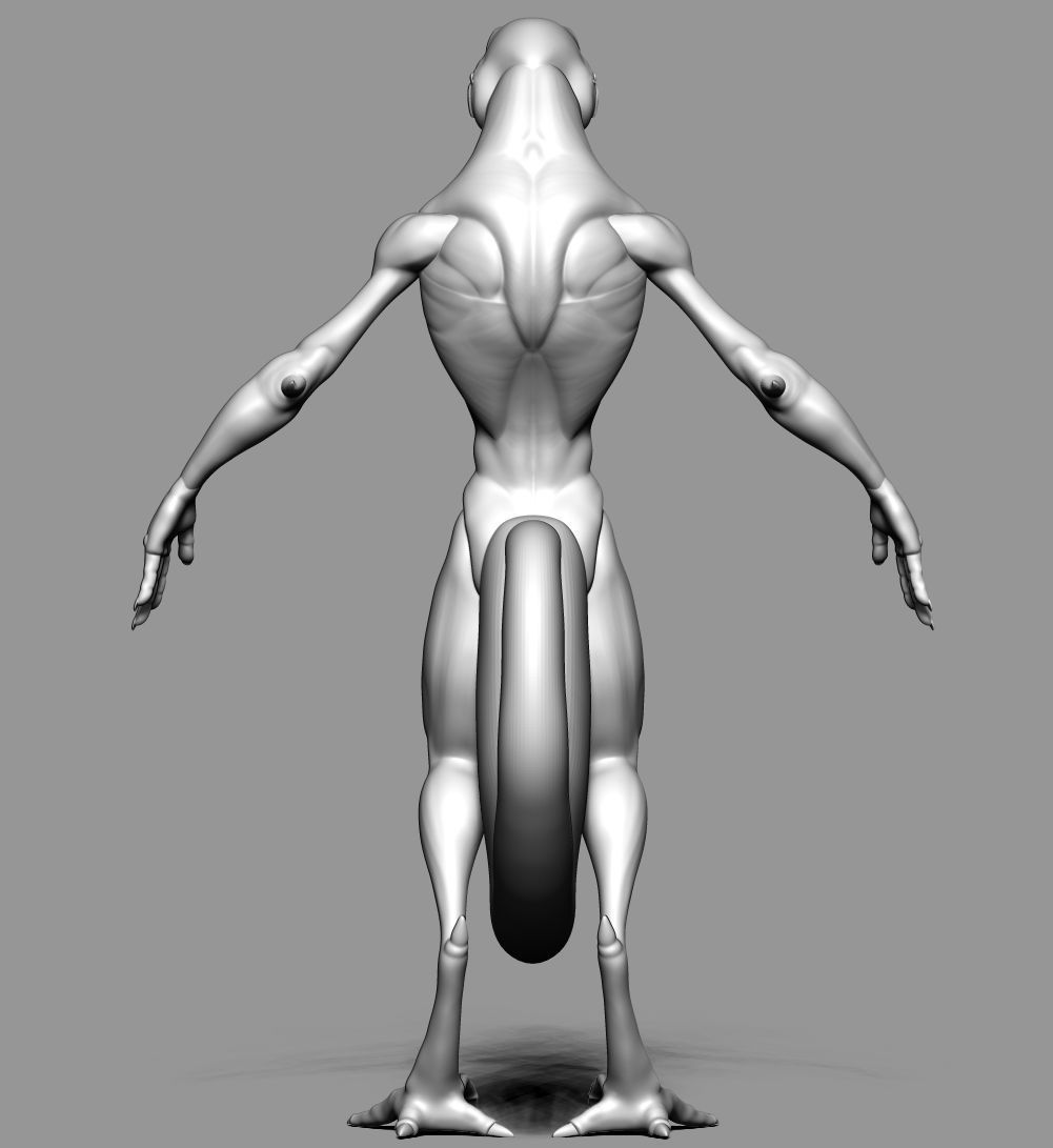 Lizard Base Mesh Low-poly 3D model_10