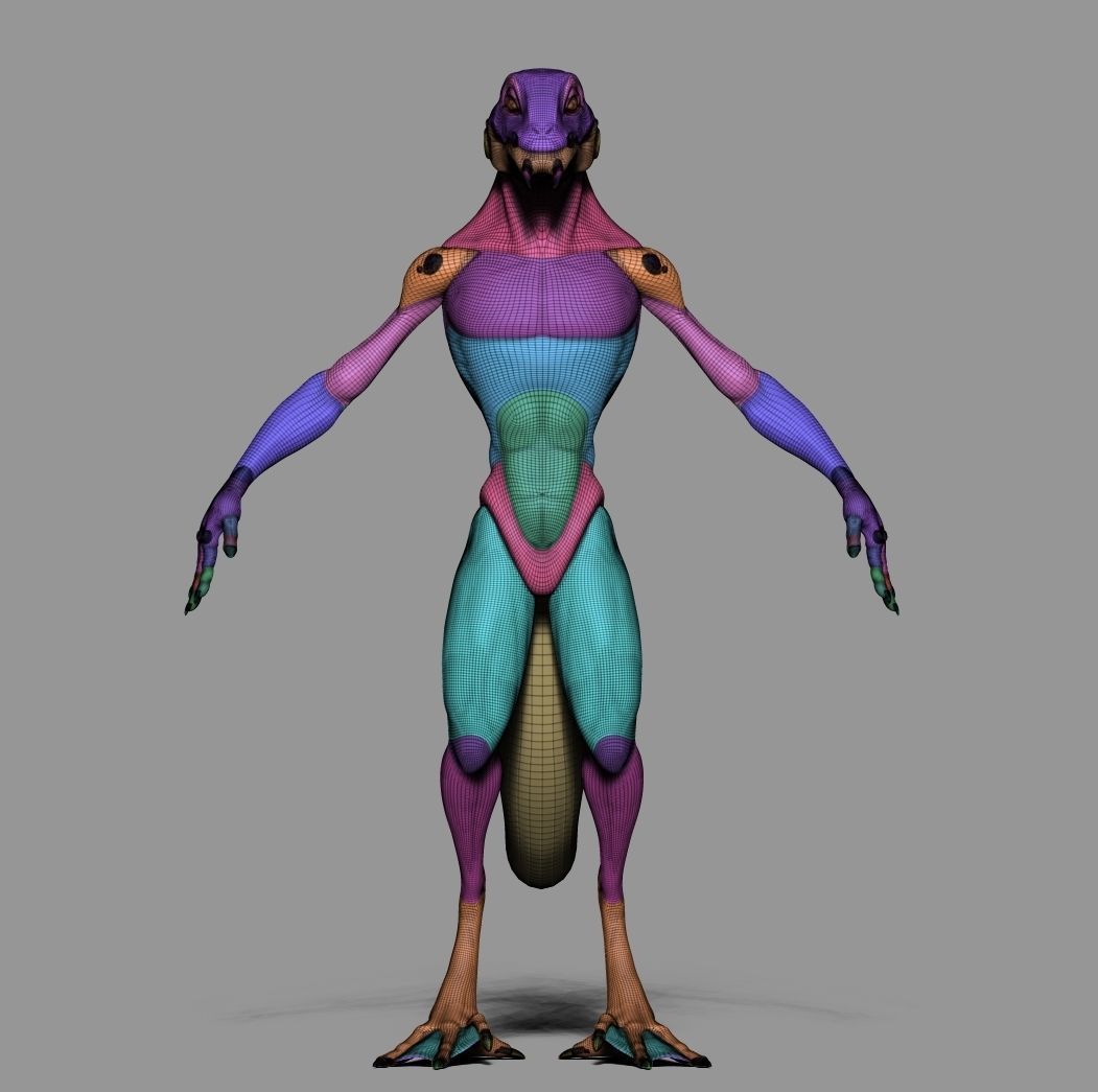 Lizard Base Mesh Low-poly 3D model_4