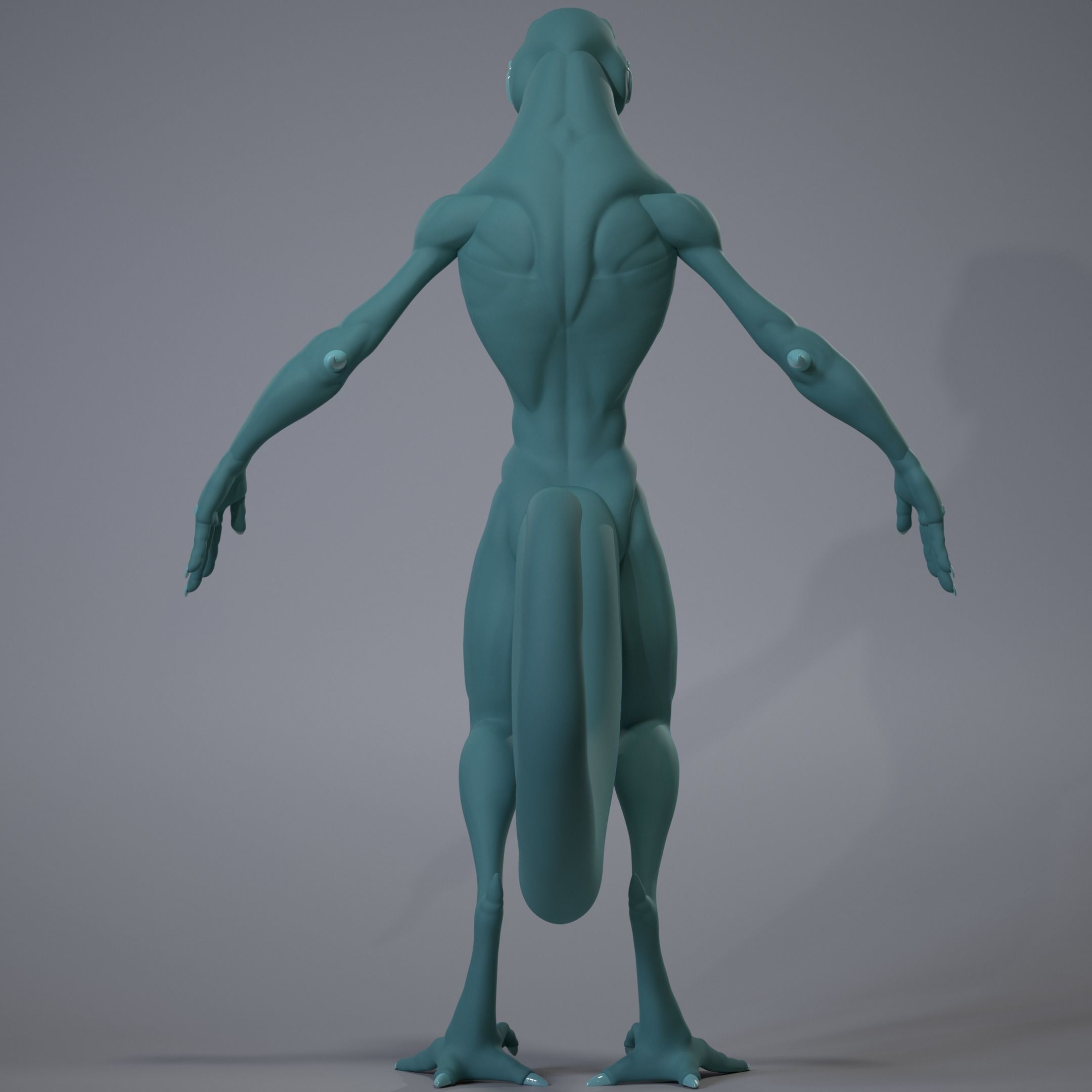 Lizard Base Mesh Low-poly 3D model_3
