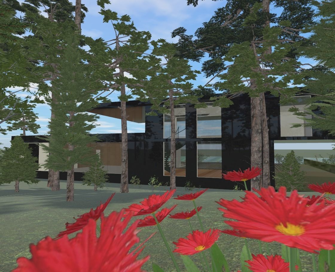 A House in washington state Low-poly 3D model_11