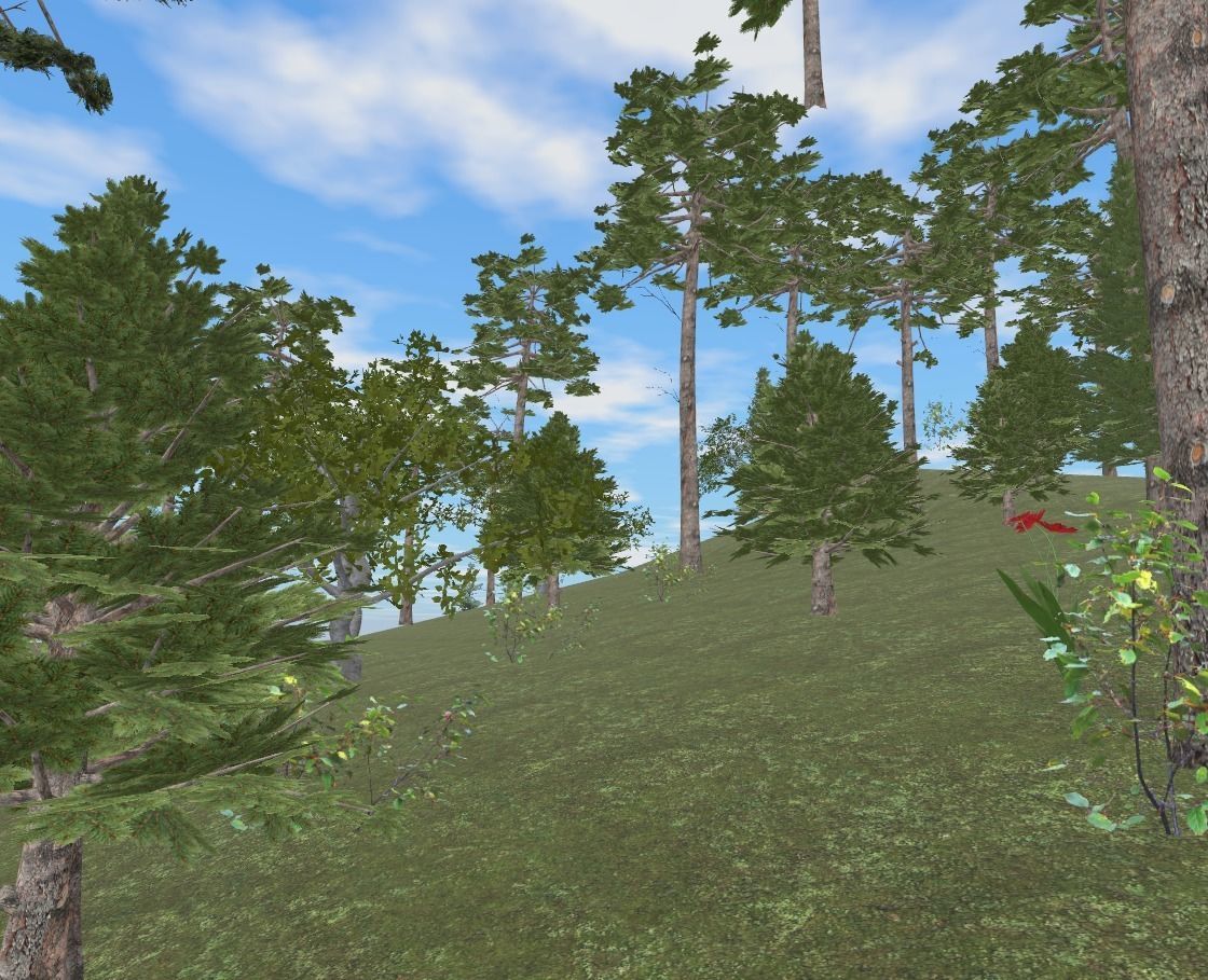 A House in washington state Low-poly 3D model_13