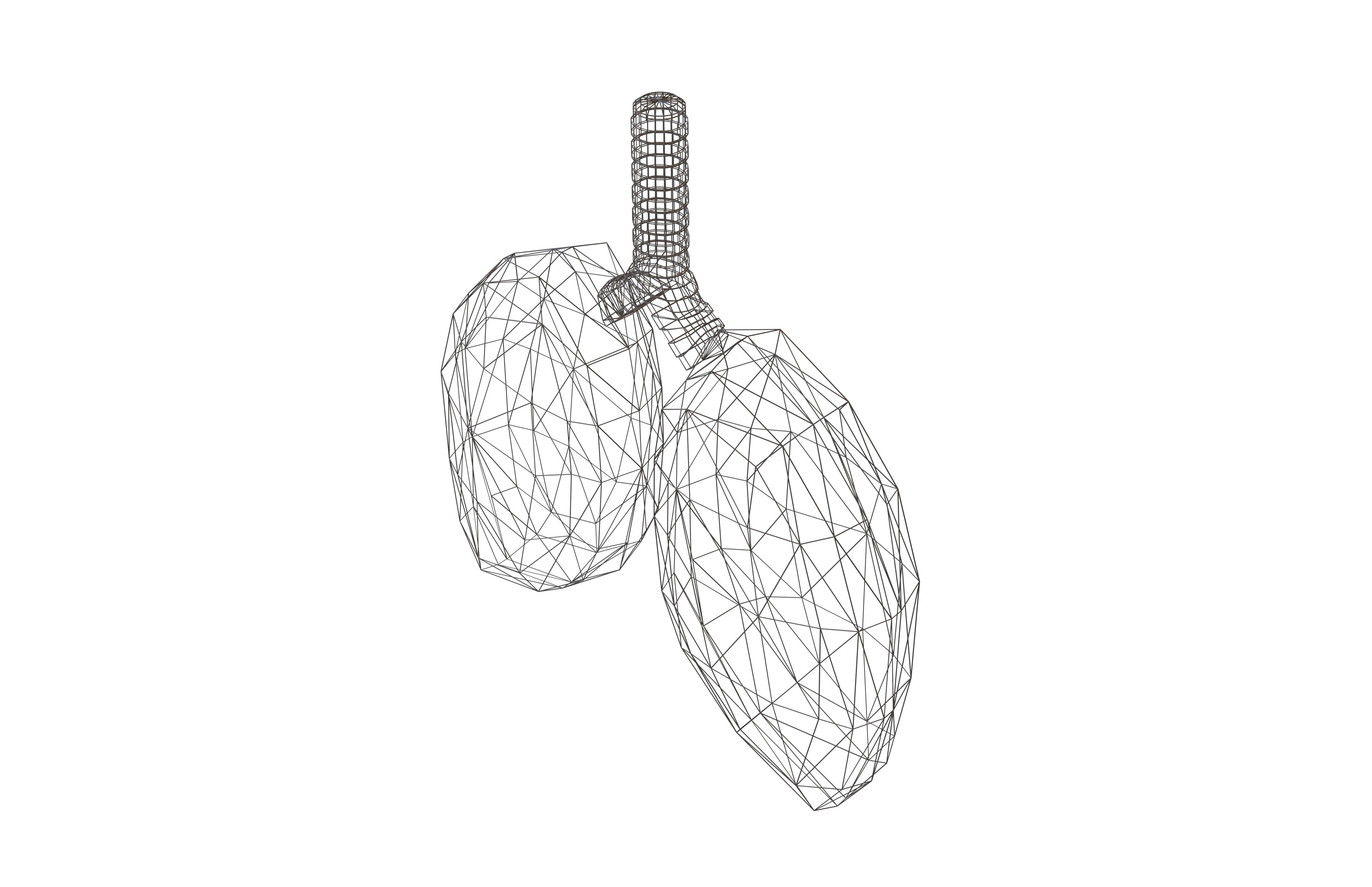 3D model Cartoon Lung v2 001 VR / AR / low-poly | CGTrader