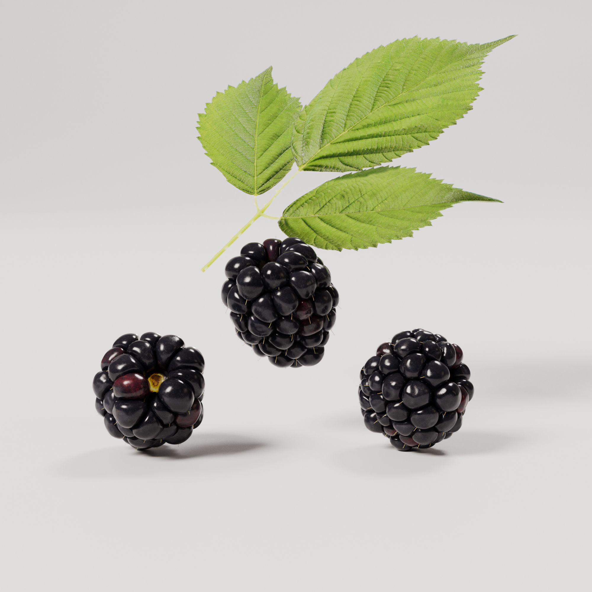 Blackberry Low-poly 3D model_4
