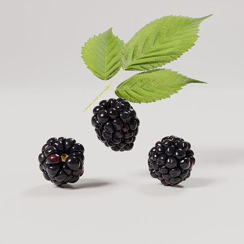 Blackberry Low-poly 3D model 5