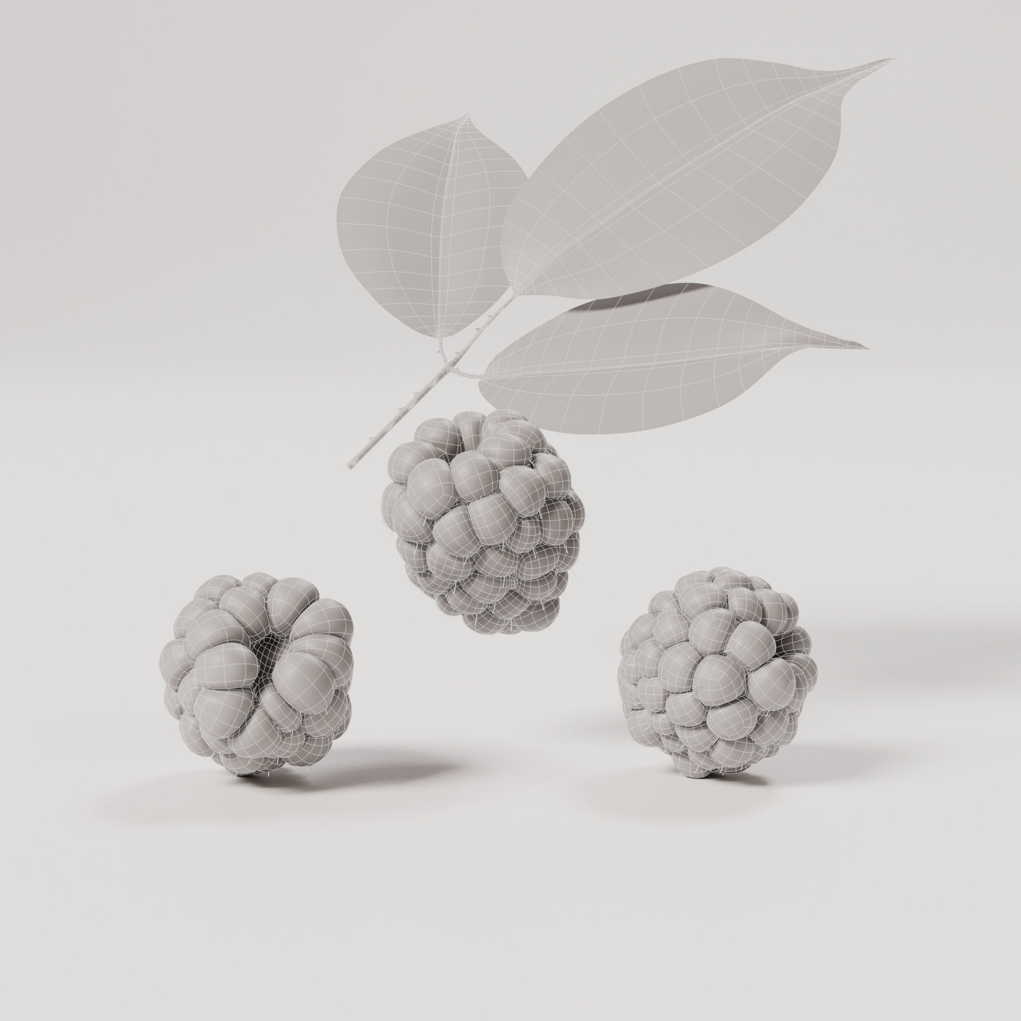 Blackberry Low-poly 3D model_1