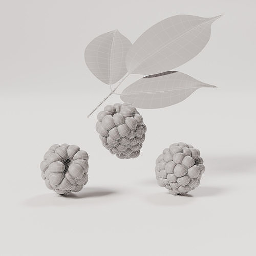 Blackberry Low-poly 3D model 2