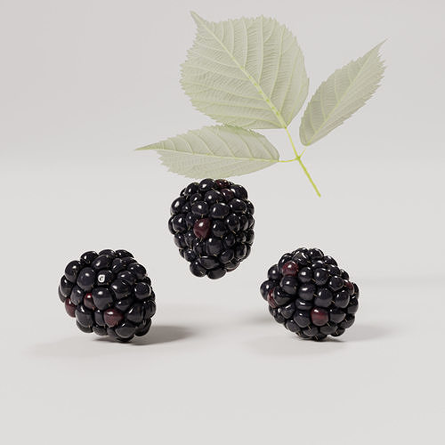 Blackberry Low-poly 3D model 6