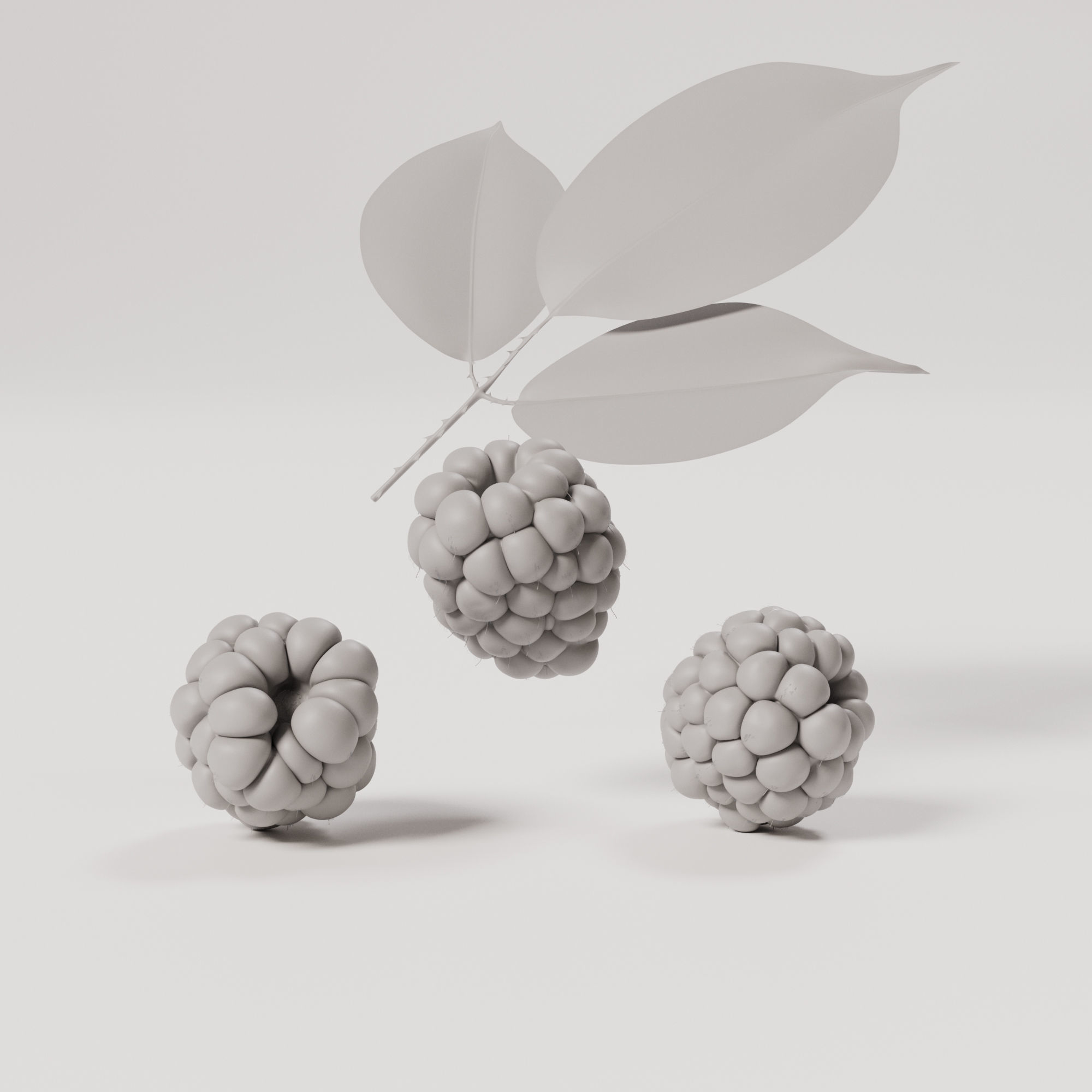 Blackberry Low-poly 3D model_3