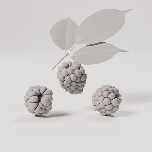 Blackberry Low-poly 3D model 4