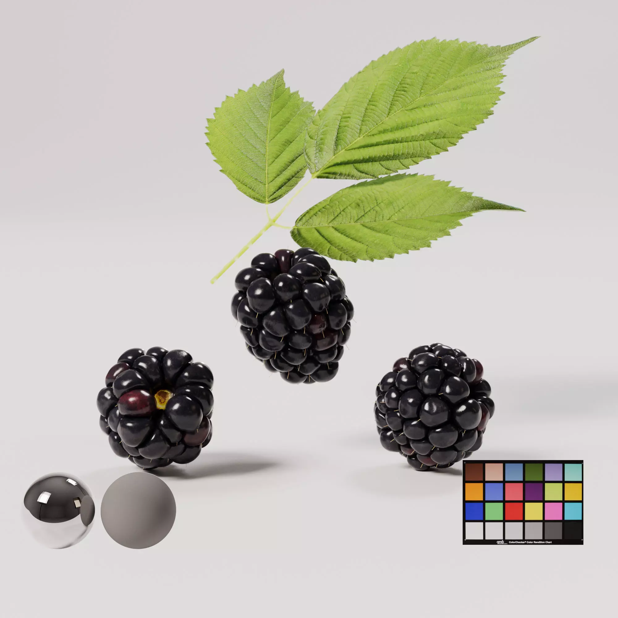 Blackberry Low-poly 3D model_0