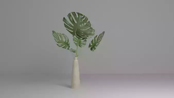 Monstera deliciosa