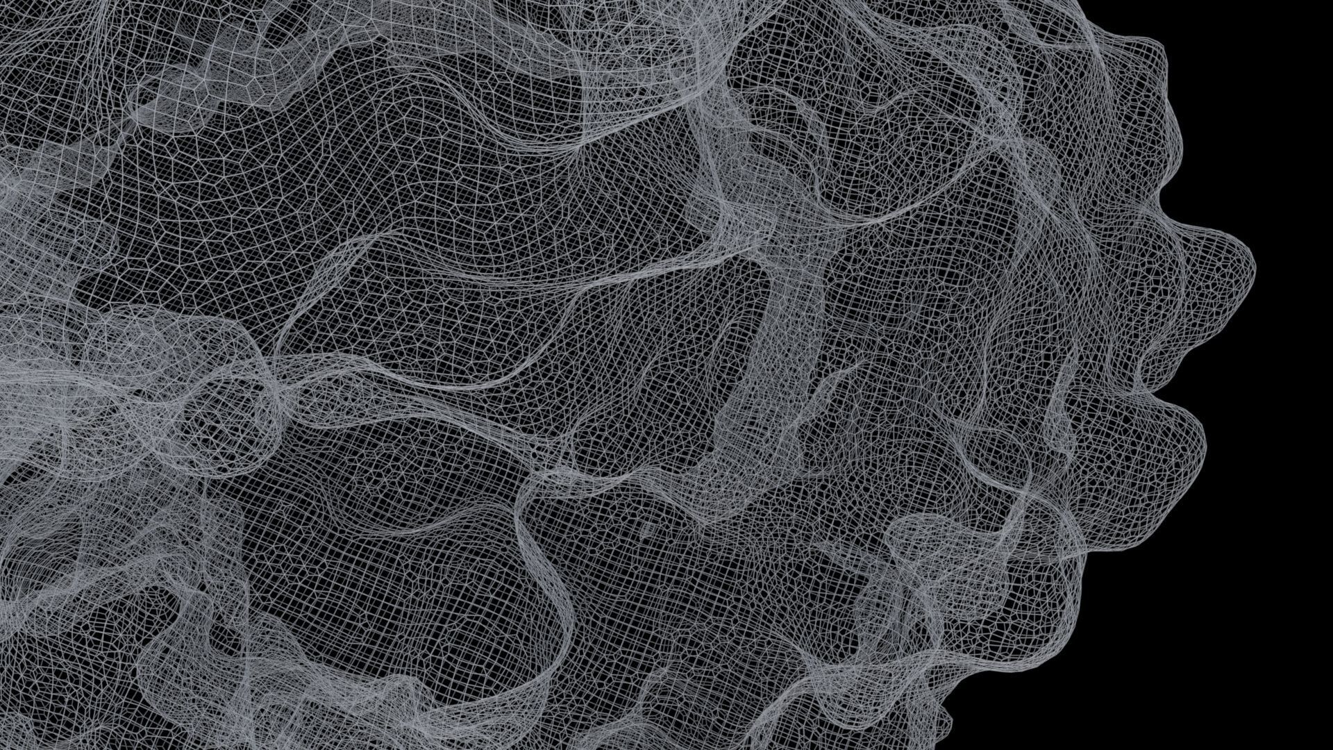 Ambient Dust VDB 1 3D model_5