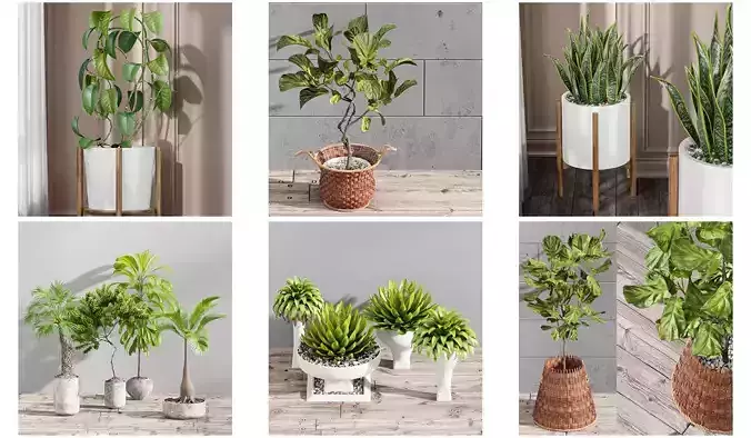  6 Different SETS of Plant Indoor SET VOL80 3D Model Collection