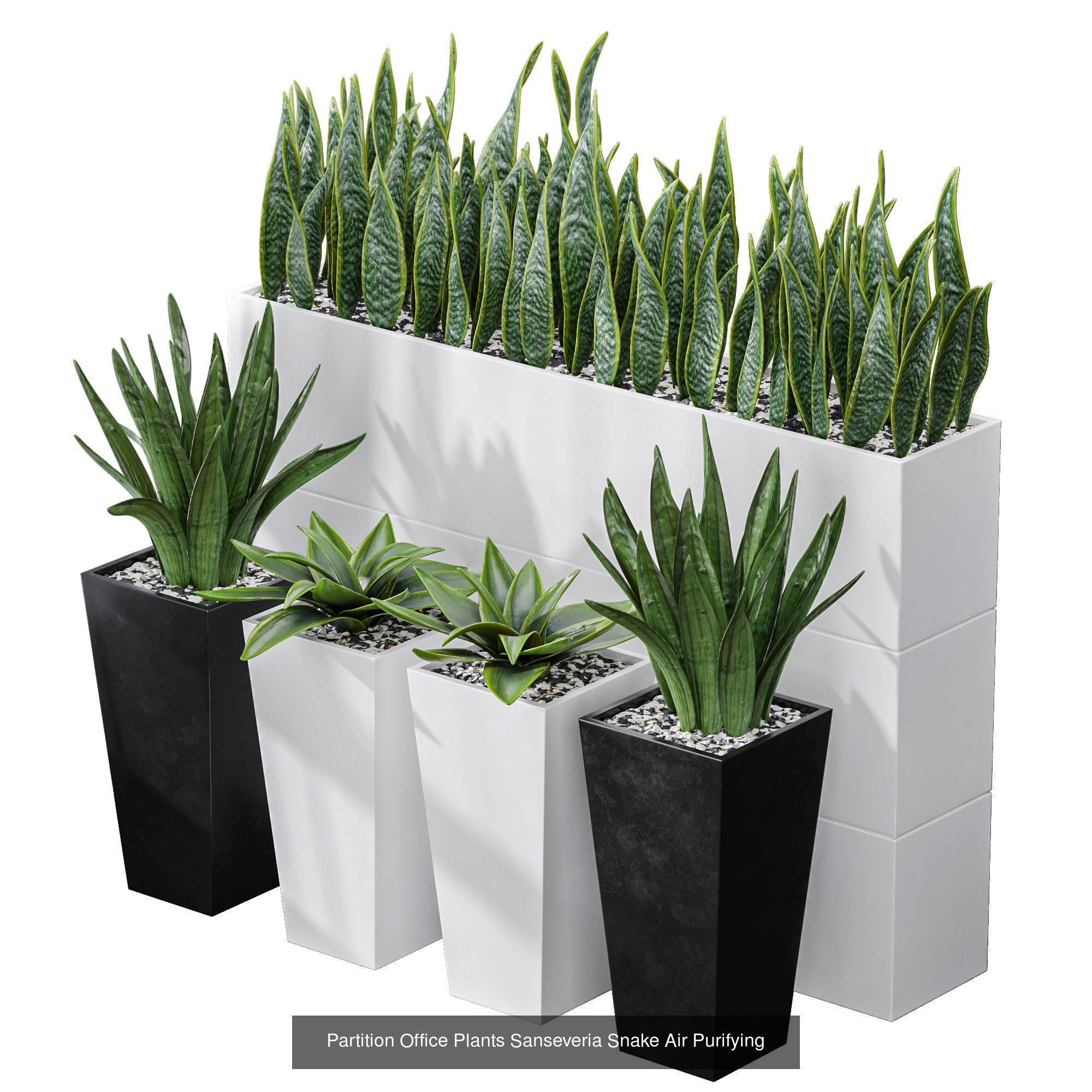 6 Different SETS of Plant Outdoor  SET VOL81 3D Model Collection_5