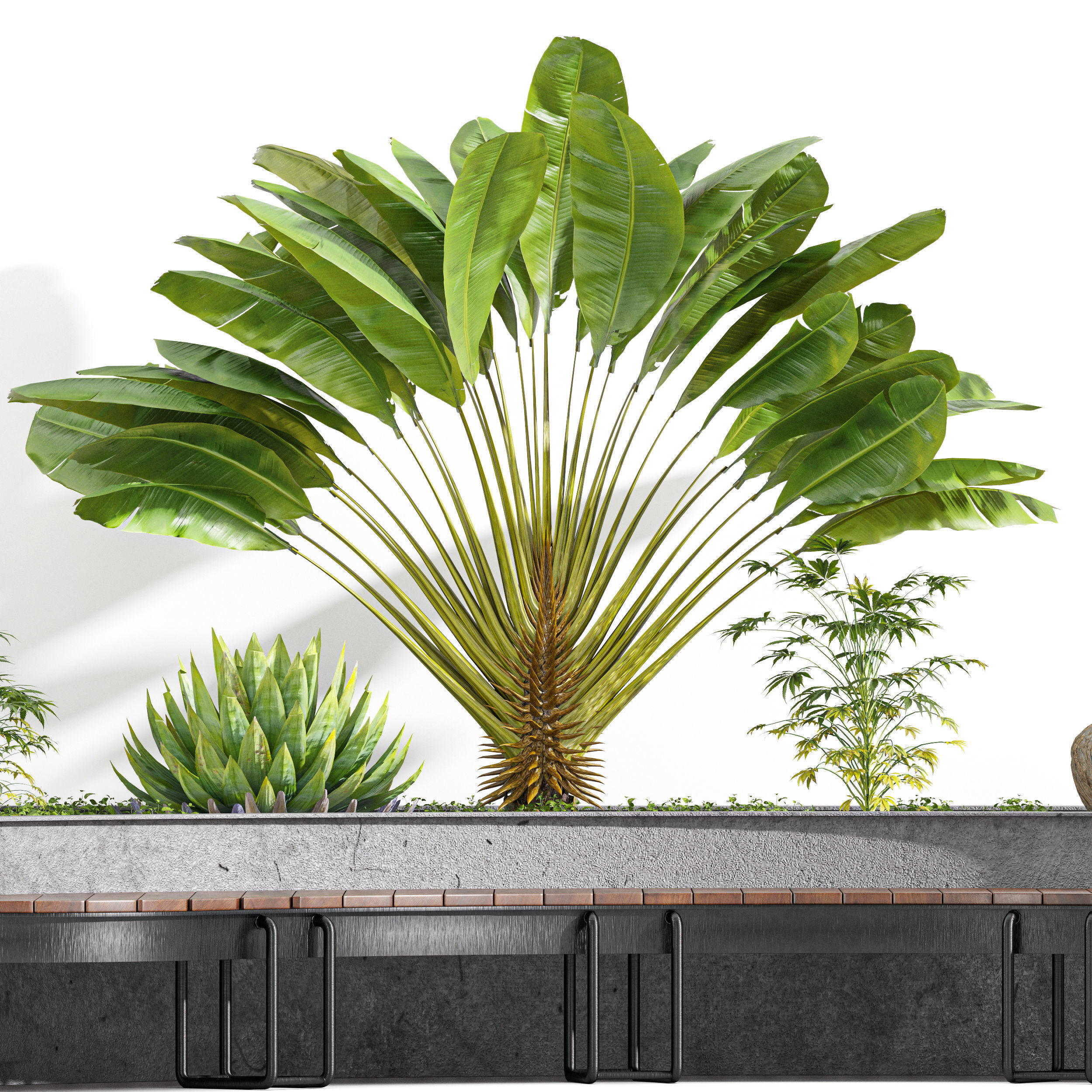 6 Different SETS of Plant Outdoor  SET VOL81 3D Model Collection_9