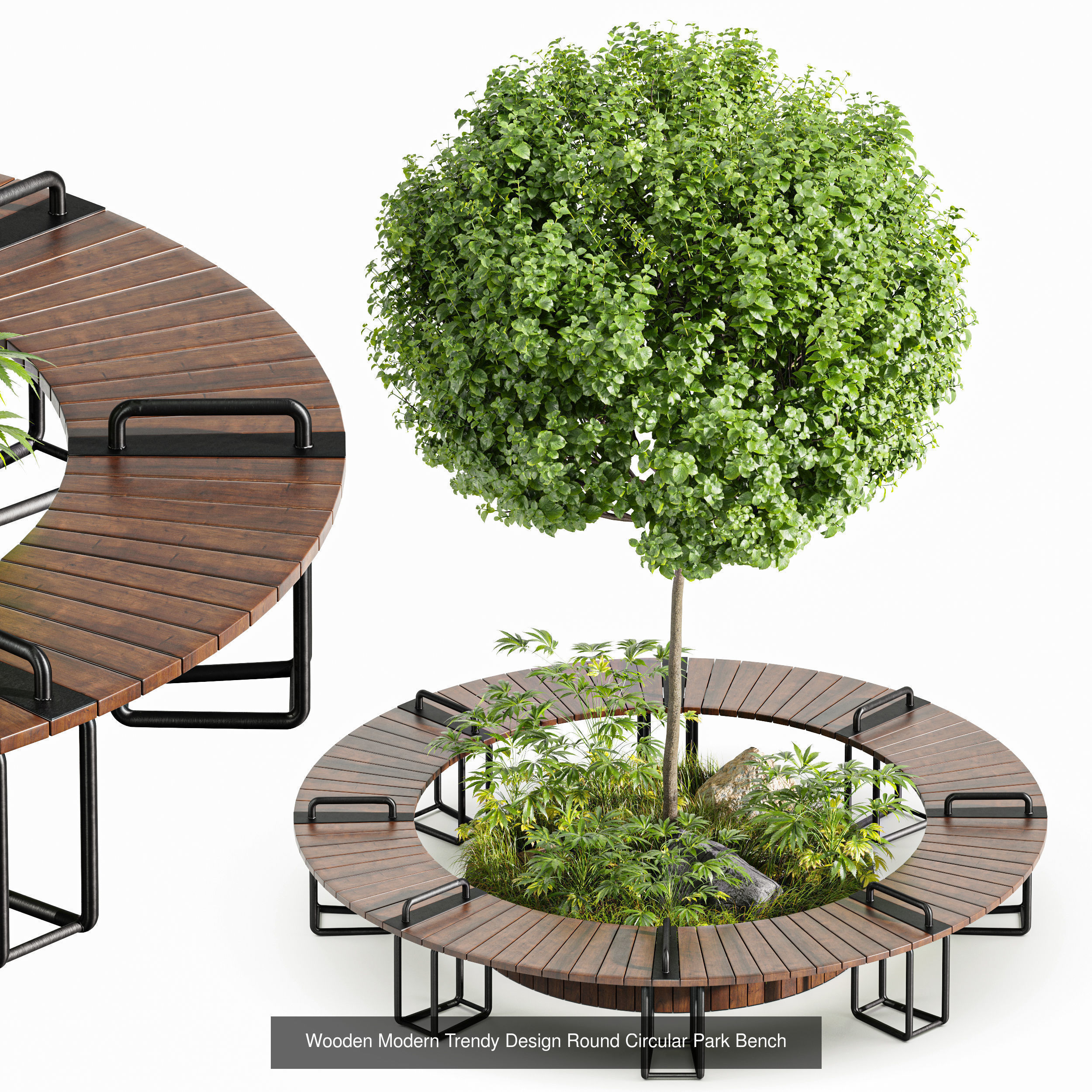 6 Different SETS of Plant Outdoor  SET VOL81 3D Model Collection_3