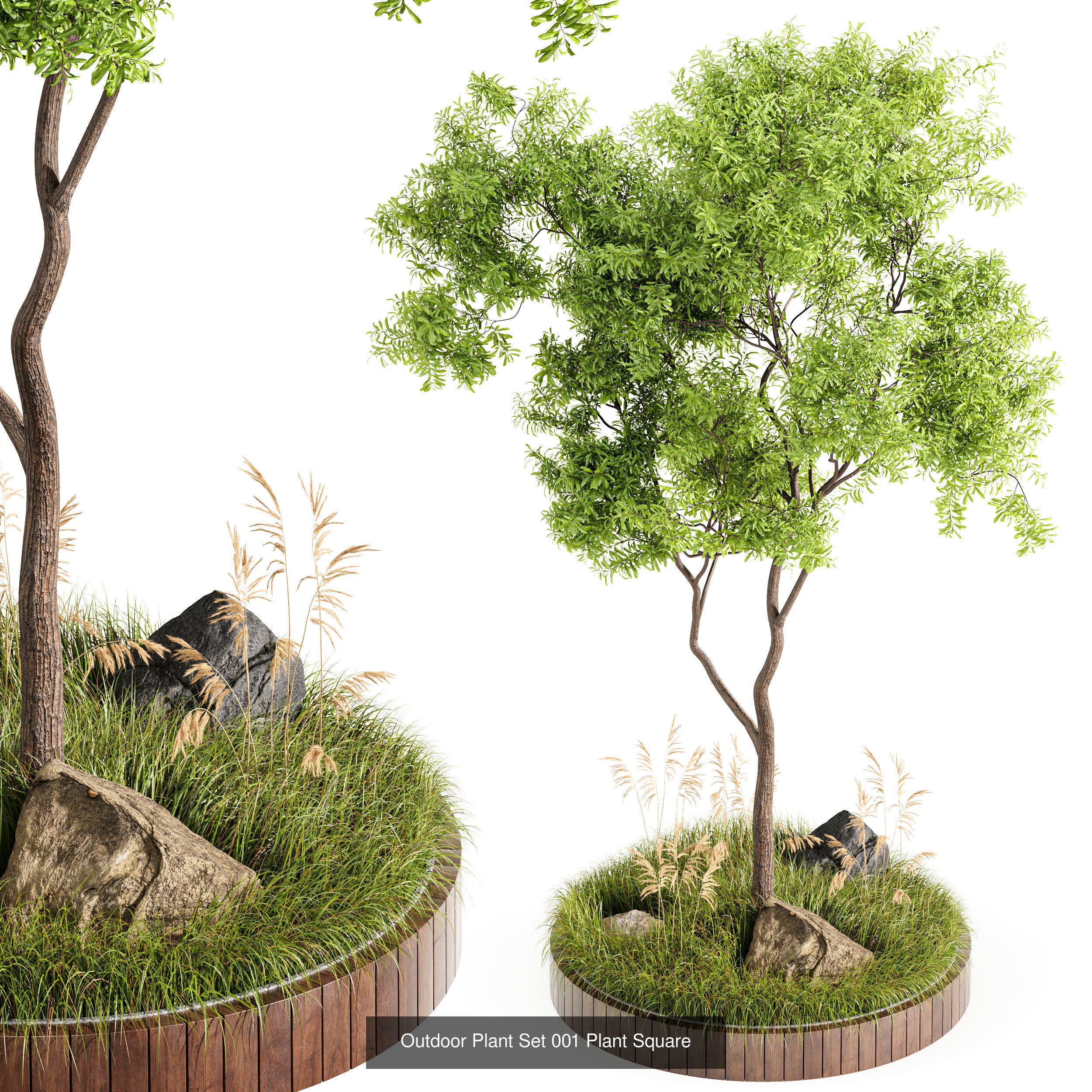 6 Different SETS of Plant Outdoor  SET VOL81 3D Model Collection_4