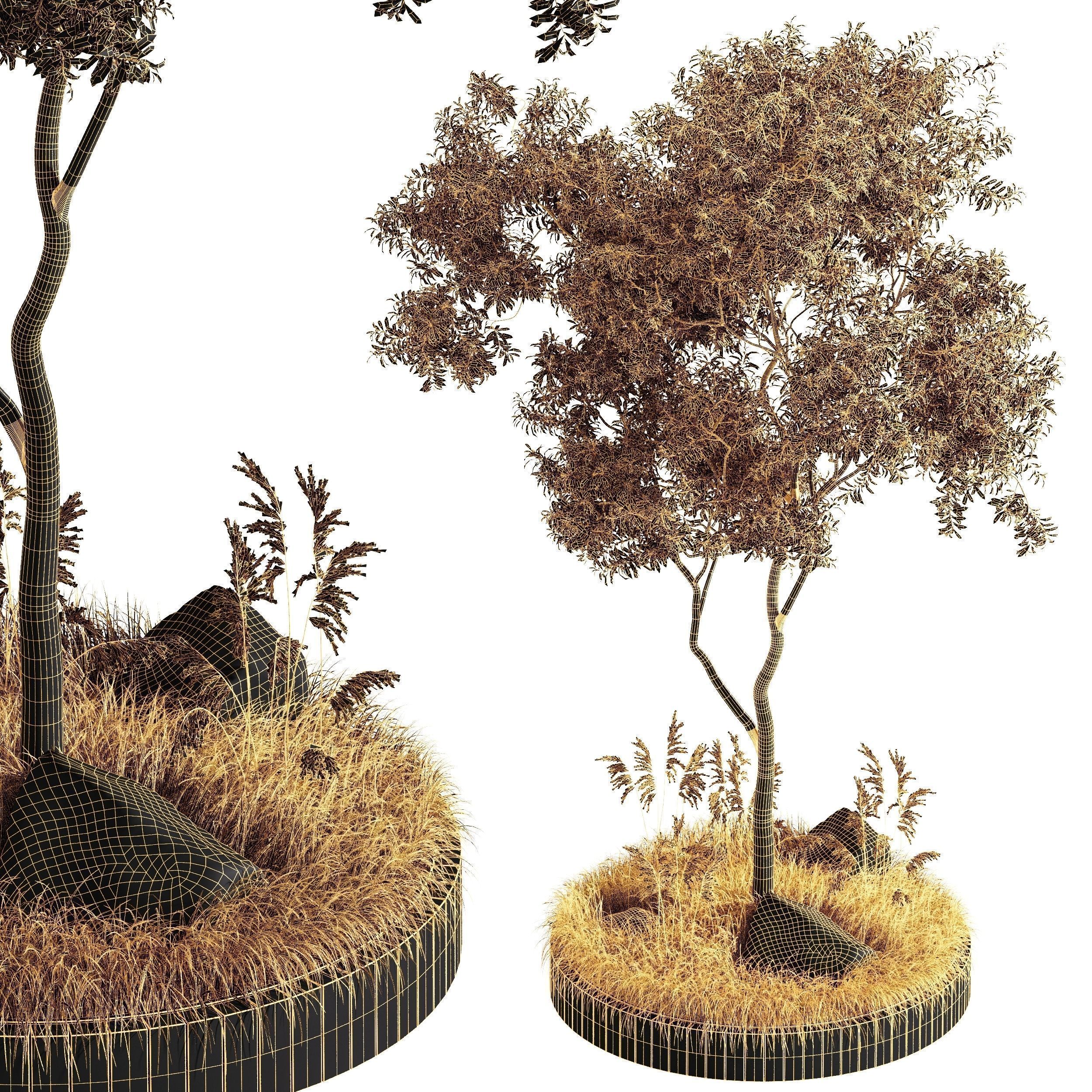 6 Different SETS of Plant Outdoor  SET VOL81 3D Model Collection_25