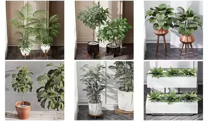 6 Different SETS of Plant Indoor SET VOL82 3D Model Collection
