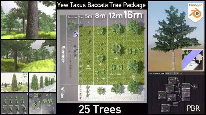 Yew Taxus Baccata Tree Package Low-poly 3D model