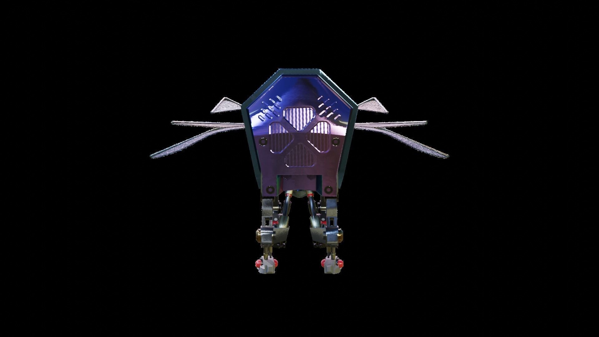 Insect 3D model_5