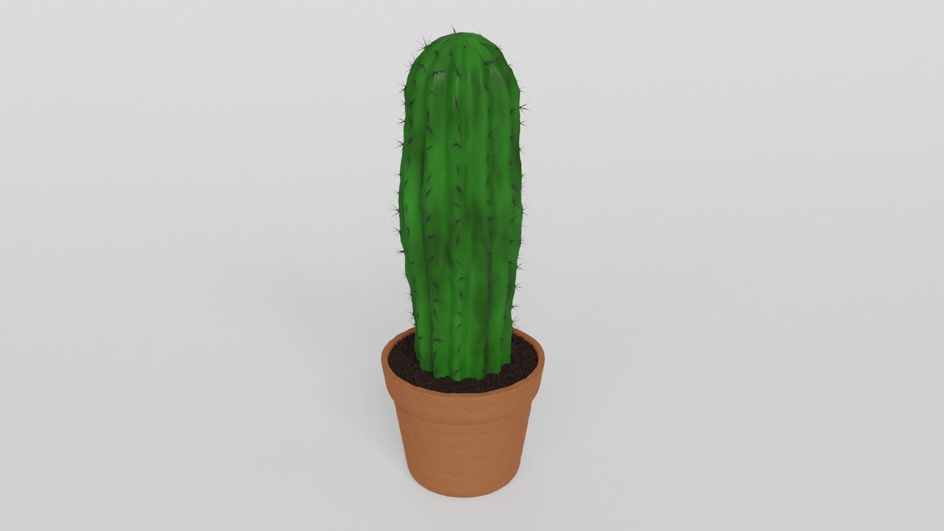 Cactus Free 3D model_1