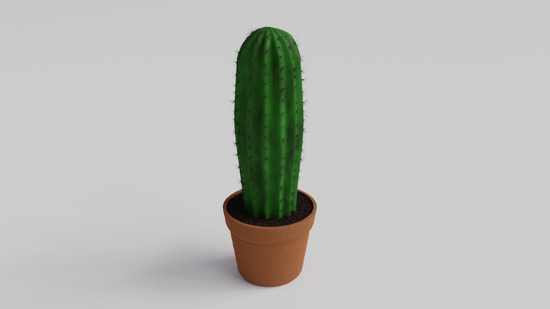 Cactus Free 3D model_2