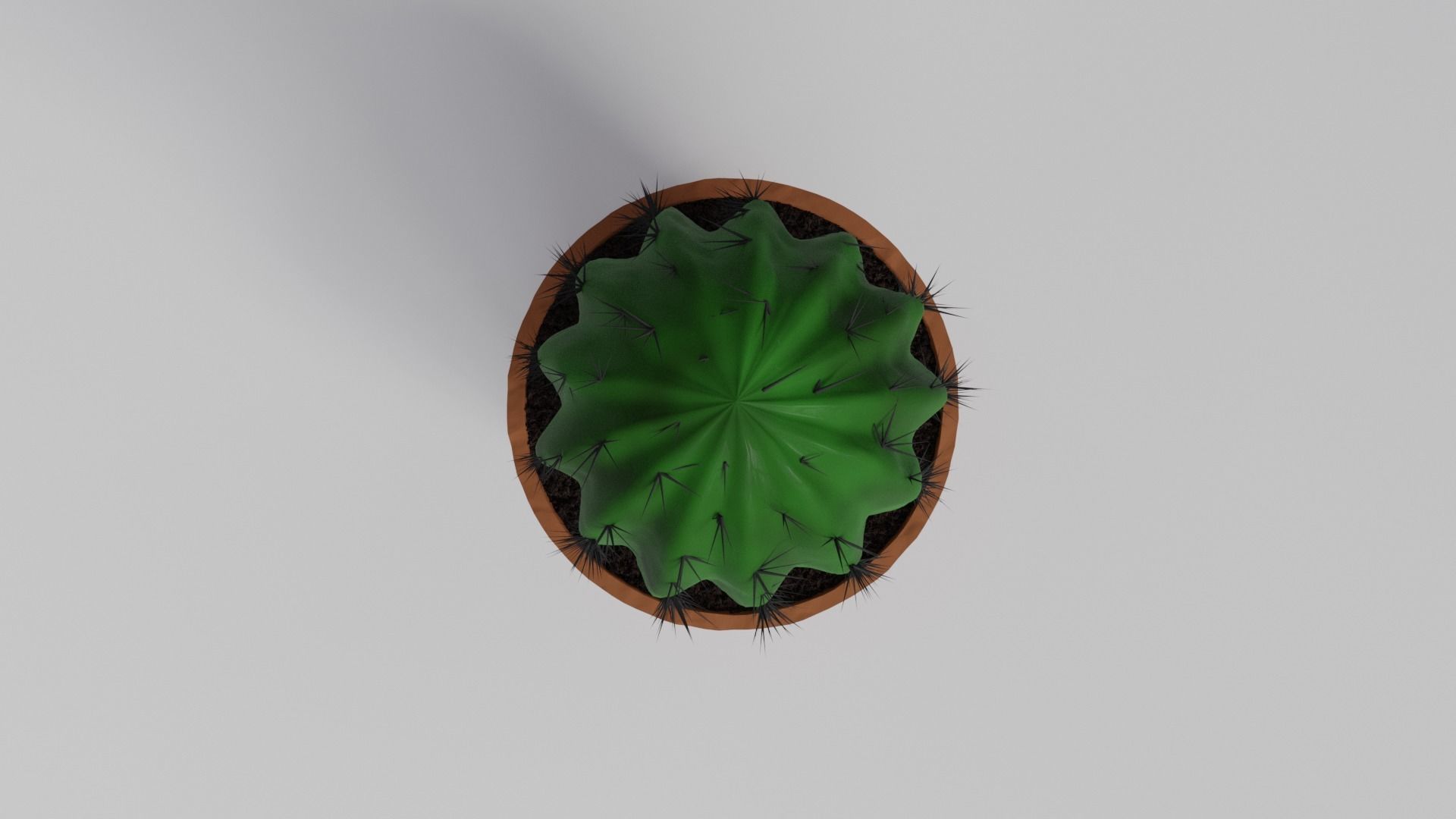 Cactus Free 3D model_3