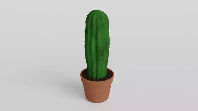 Cactus