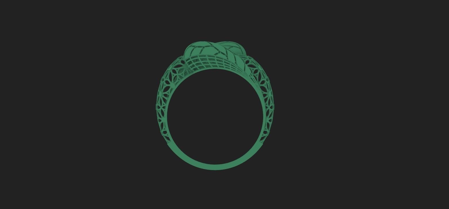 Ring 5 3D print model_2