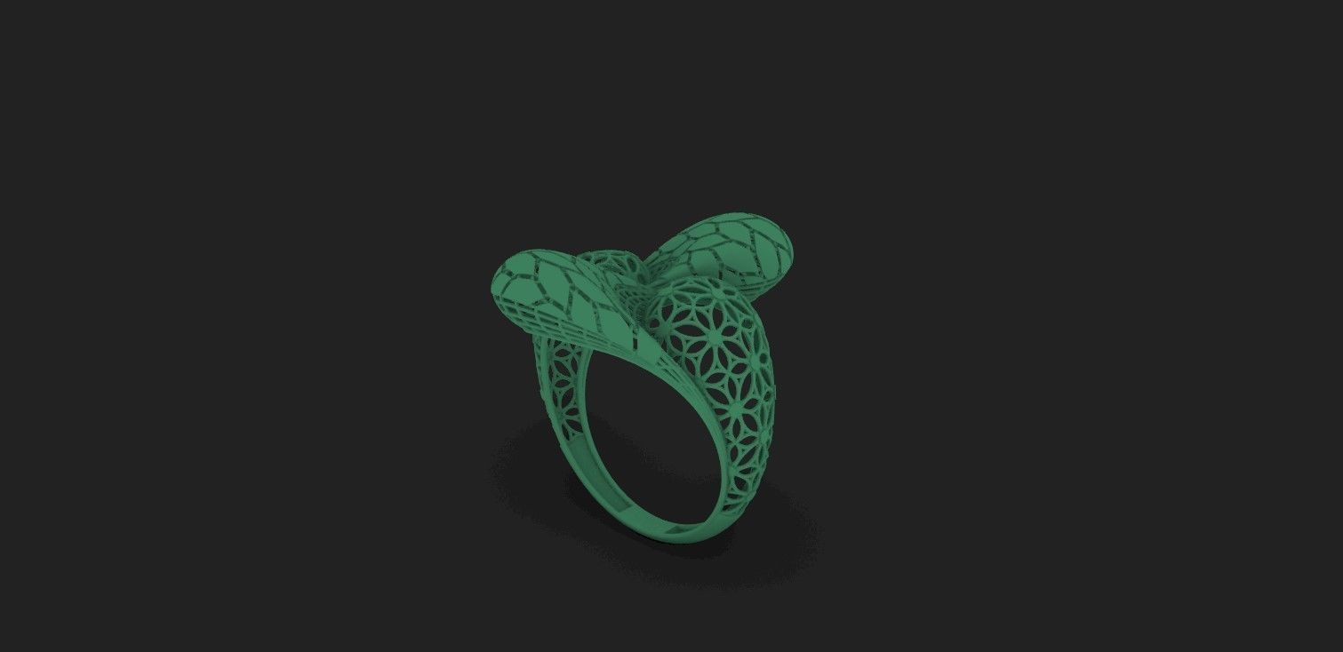 Ring 5 3D print model_5