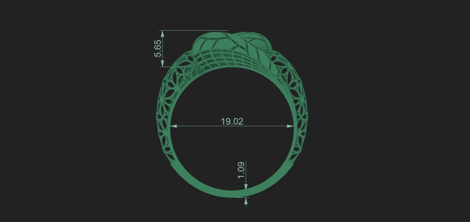 Ring 5 3D print model_7