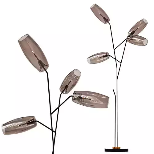 gallotti and radice diantha terra