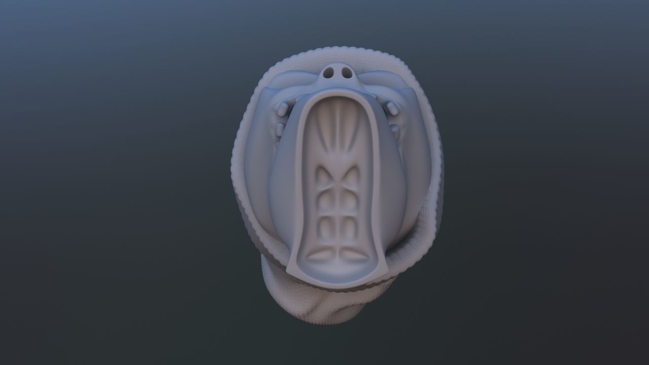 Gangsta Skull 3D print model_19