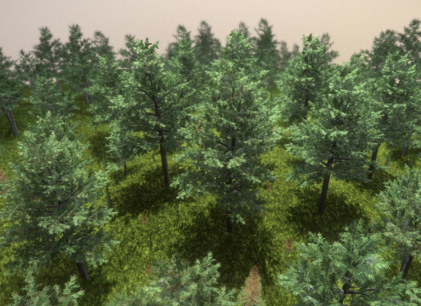 Walnut Honey Empress Black-Alder Yew-Taxus-Baccata Trees 3D Model Collection_44