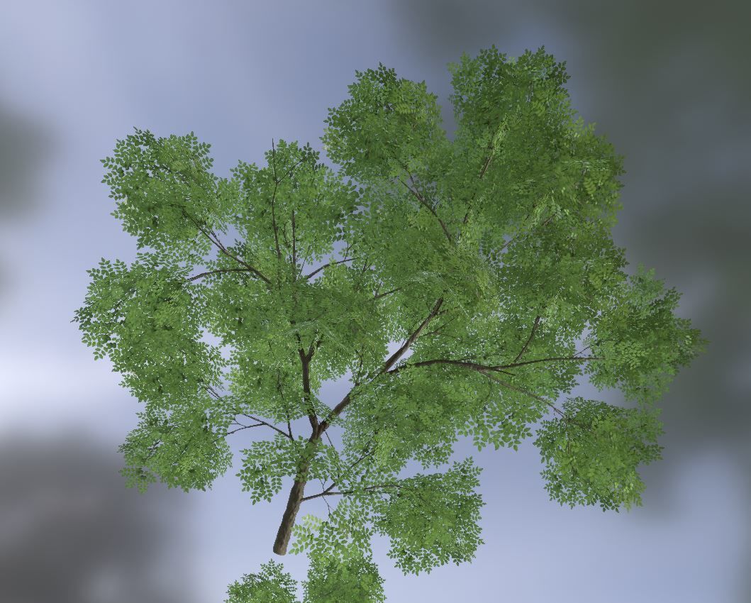 Walnut Honey Empress Black-Alder Yew-Taxus-Baccata Trees 3D Model Collection_122