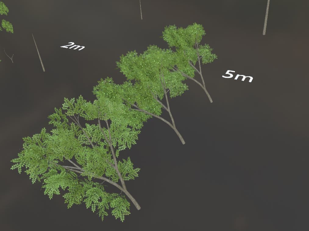 Walnut Honey Empress Black-Alder Yew-Taxus-Baccata Trees 3D Model Collection_128