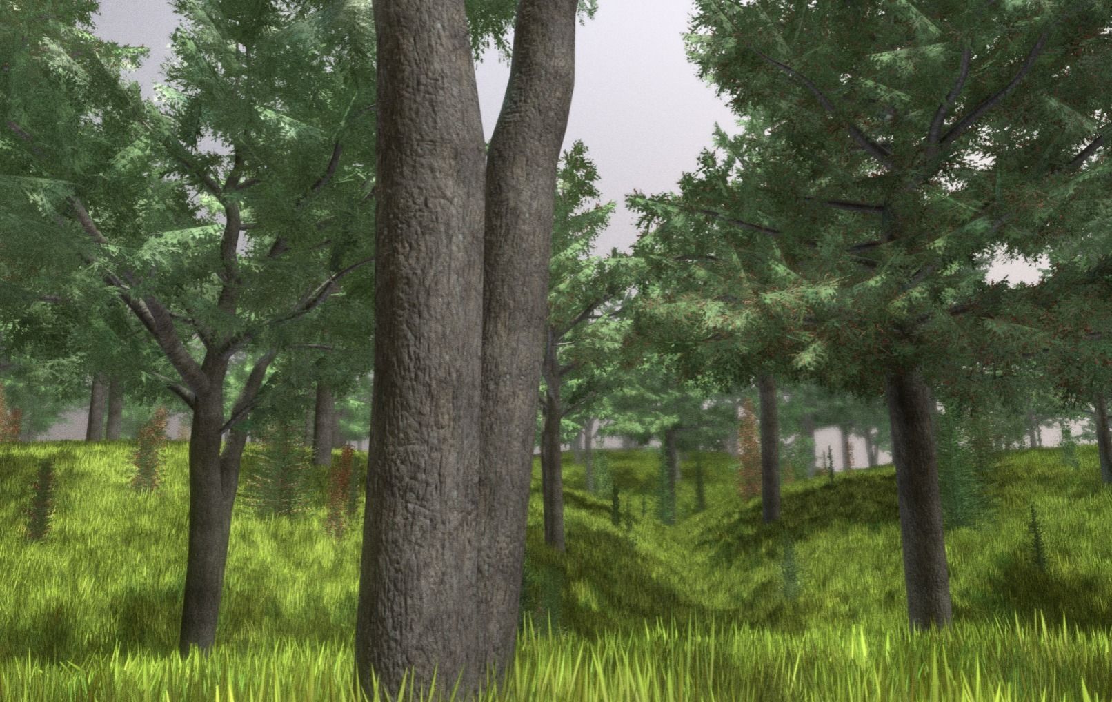 Walnut Honey Empress Black-Alder Yew-Taxus-Baccata Trees 3D Model Collection_53