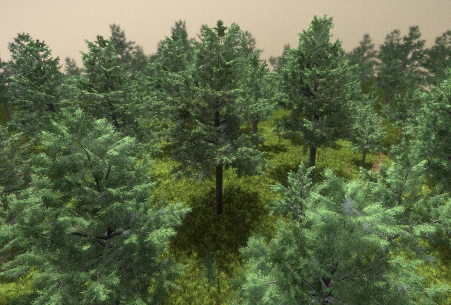 Walnut Honey Empress Black-Alder Yew-Taxus-Baccata Trees 3D Model Collection_48