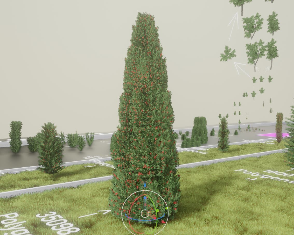 Walnut Honey Empress Black-Alder Yew-Taxus-Baccata Trees 3D Model Collection_28