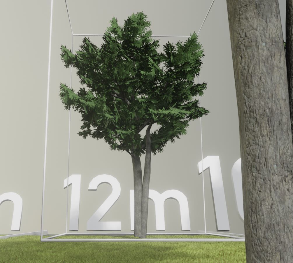 Walnut Honey Empress Black-Alder Yew-Taxus-Baccata Trees 3D Model Collection_41