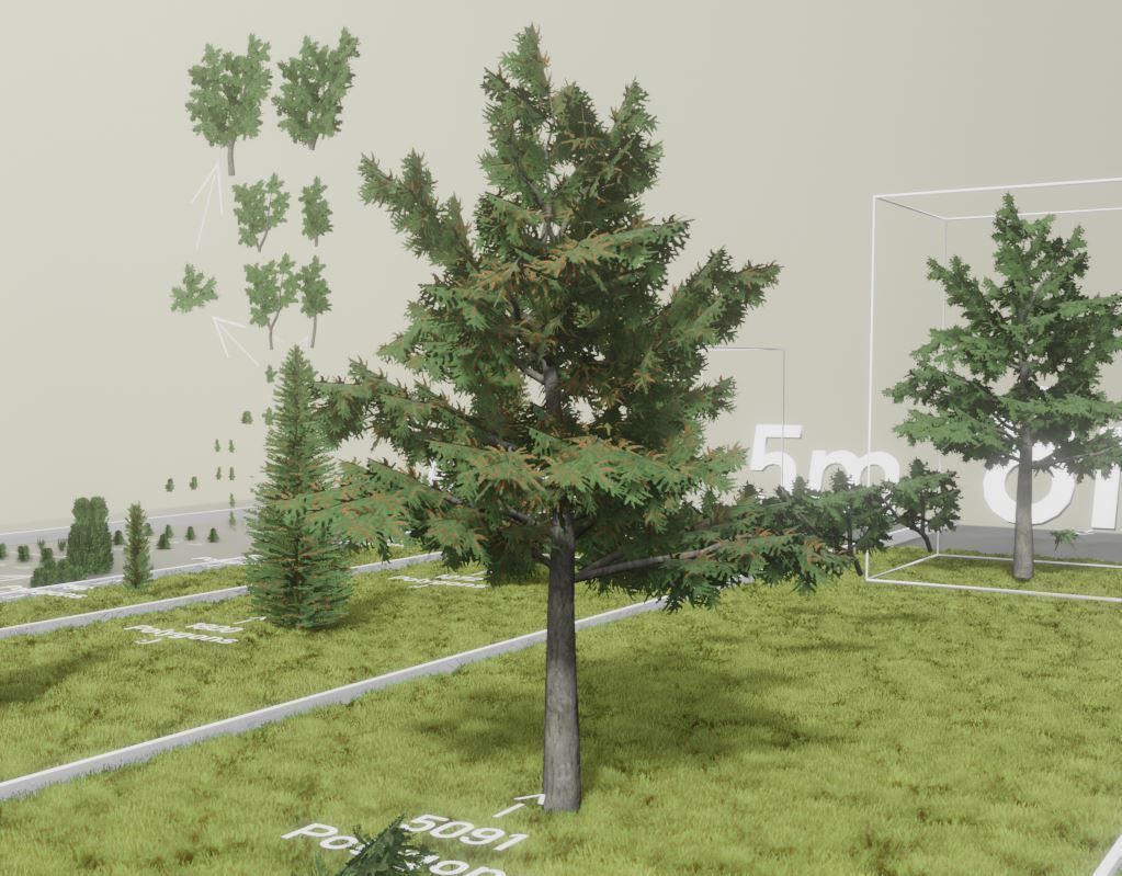 Walnut Honey Empress Black-Alder Yew-Taxus-Baccata Trees 3D Model Collection_17