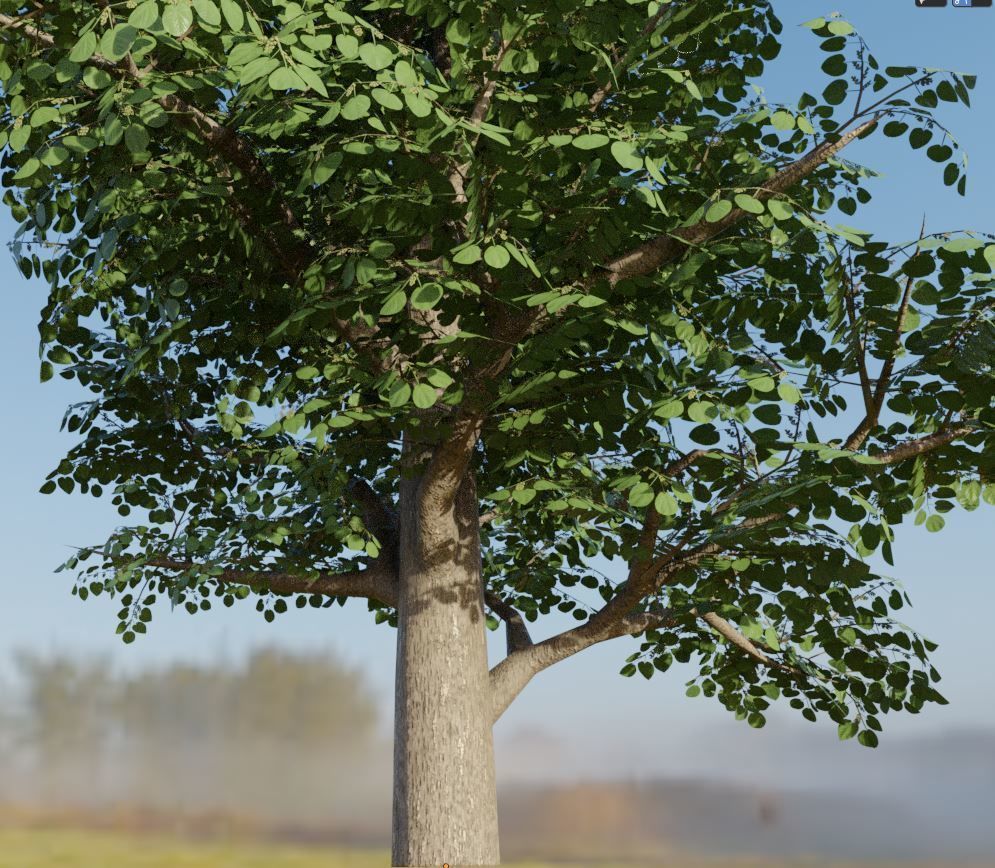 Walnut Honey Empress Black-Alder Yew-Taxus-Baccata Trees 3D Model Collection_100