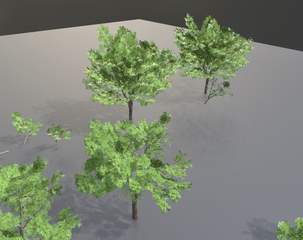 Walnut Honey Empress Black-Alder Yew-Taxus-Baccata Trees 3D Model Collection_132