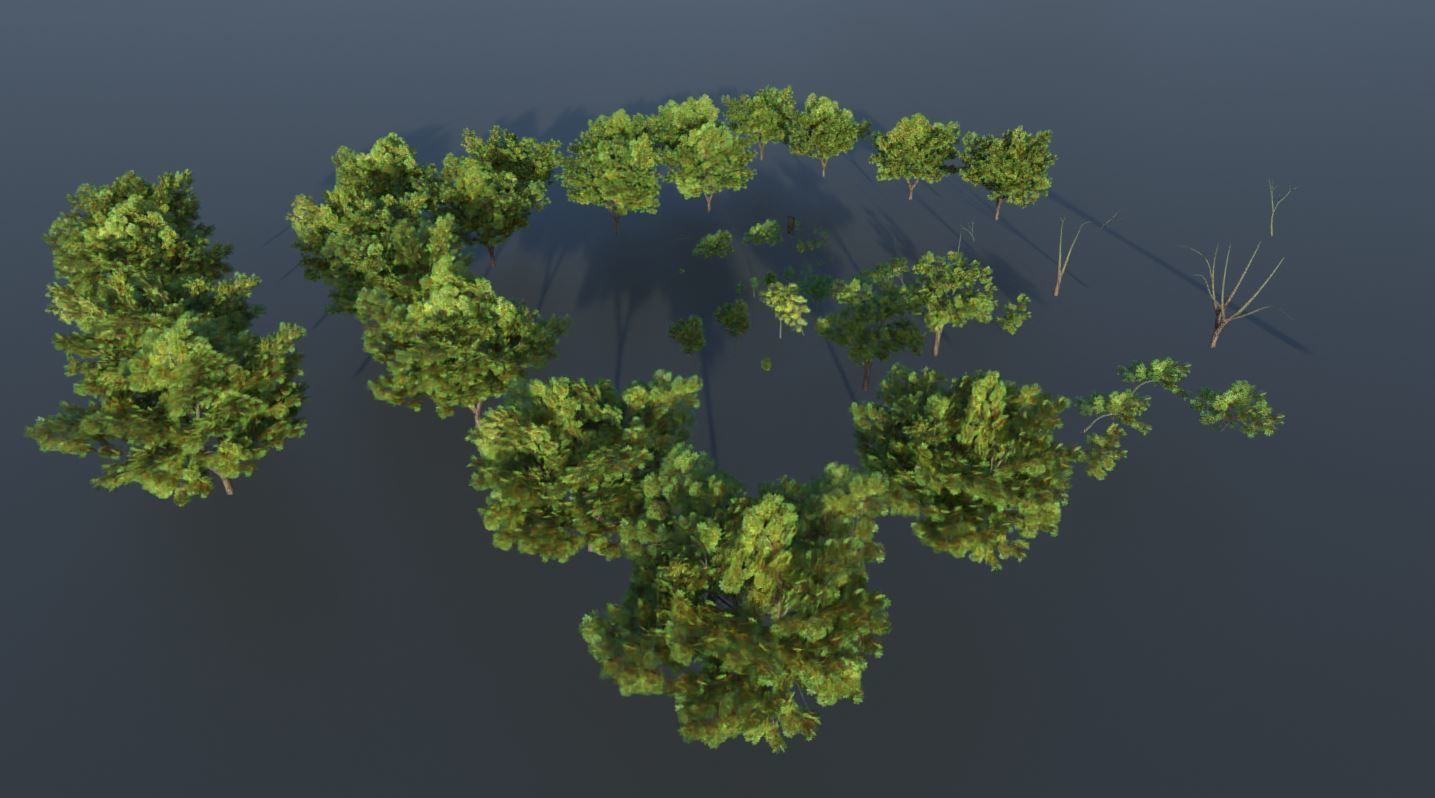 Walnut Honey Empress Black-Alder Yew-Taxus-Baccata Trees 3D Model Collection_116