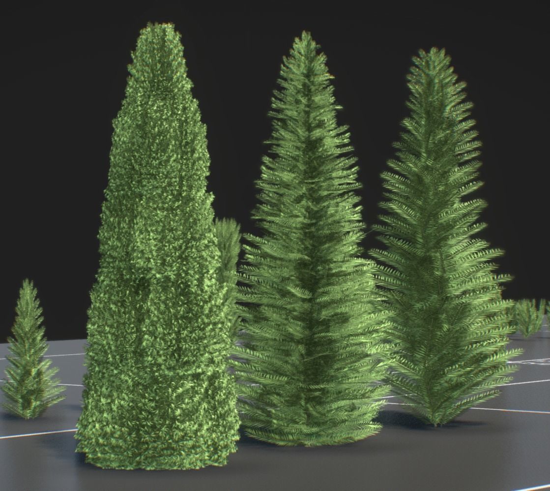Walnut Honey Empress Black-Alder Yew-Taxus-Baccata Trees 3D Model Collection_47