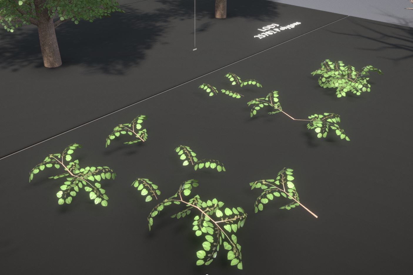 Walnut Honey Empress Black-Alder Yew-Taxus-Baccata Trees 3D Model Collection_85