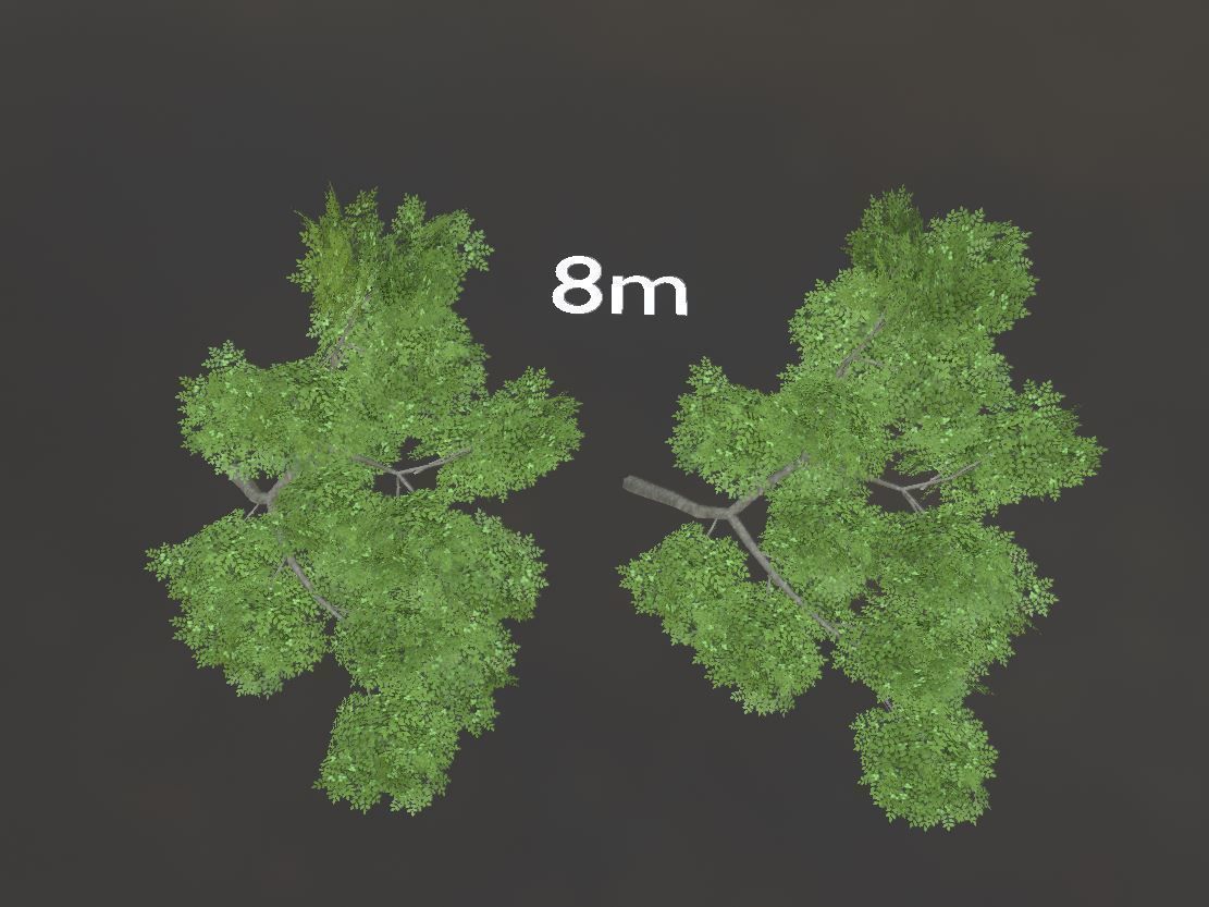 Walnut Honey Empress Black-Alder Yew-Taxus-Baccata Trees 3D Model Collection_125